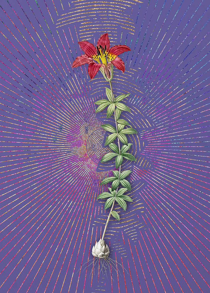 Violet Vintage Wood Lily