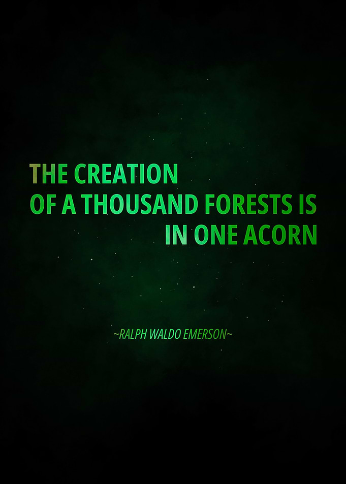 One Acorn