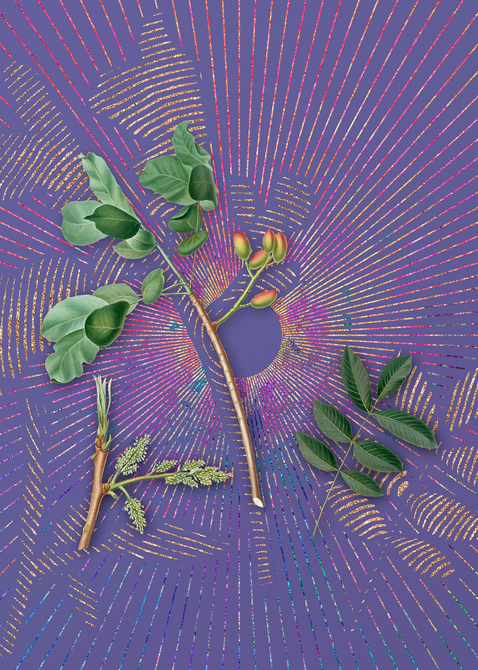 Violet Vintage Pistachio
