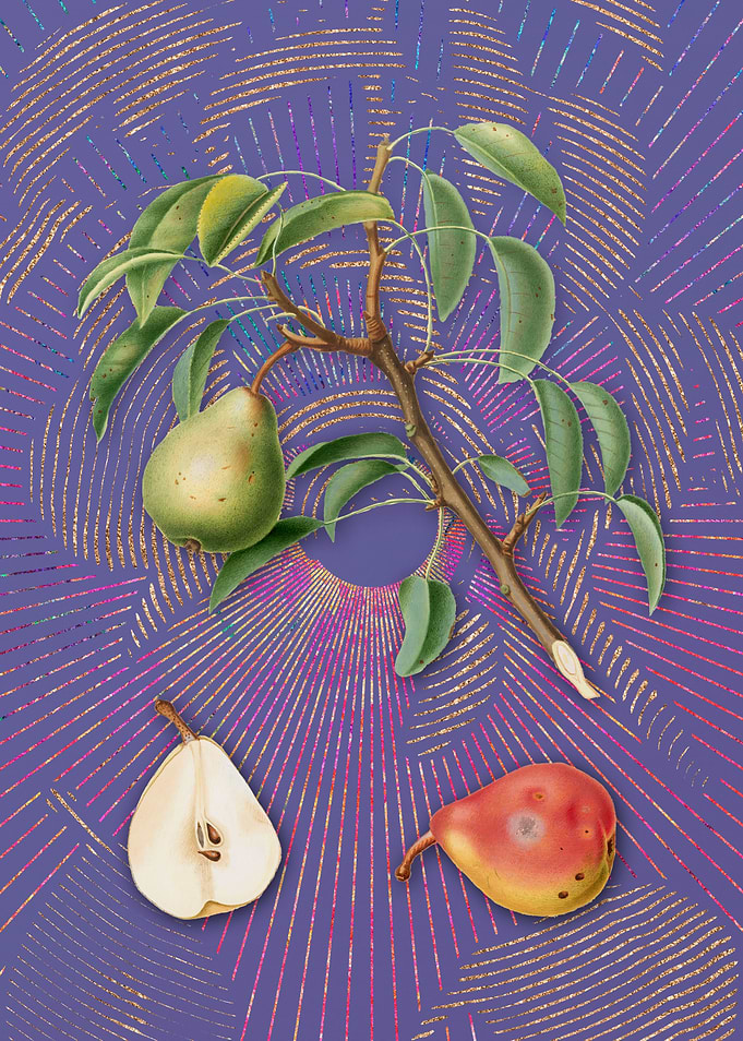 Violet Vintage Pear 6