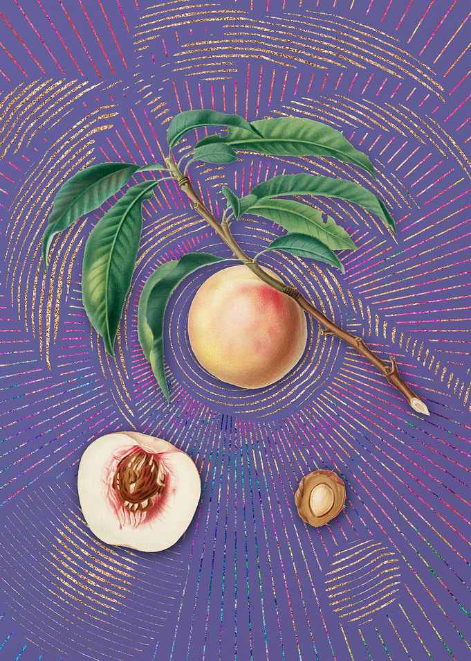 White Speckled Peach Art