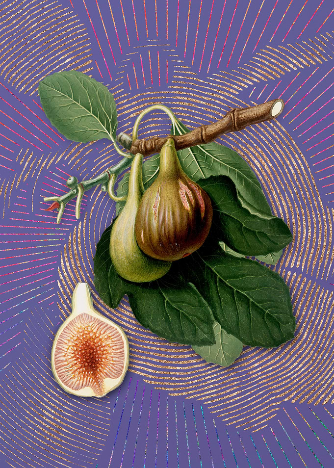 Violet Vintage Fig 10