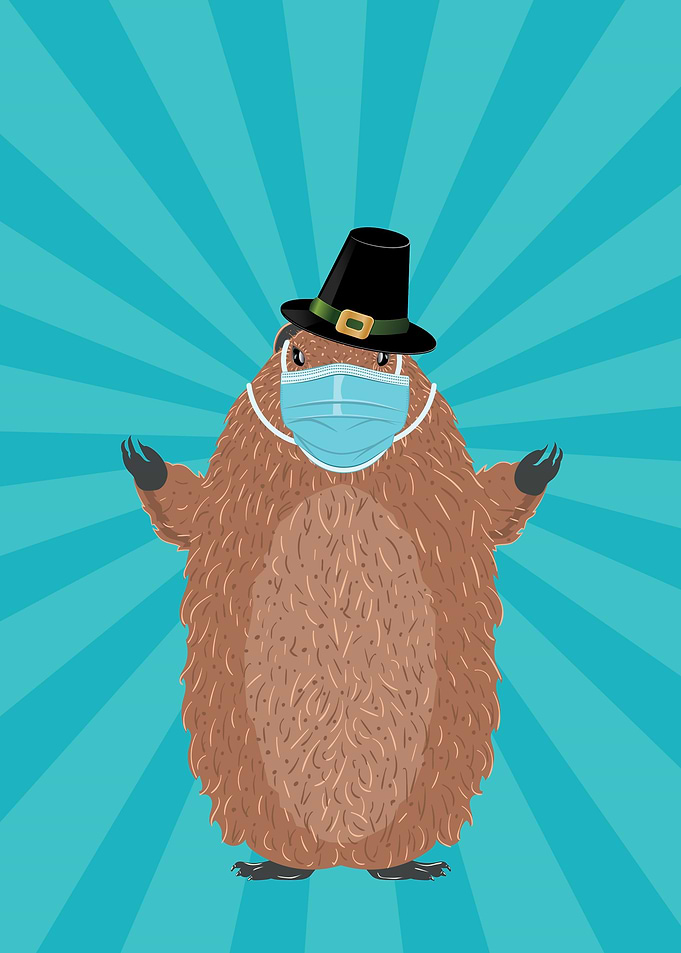 Groundhog in face mask