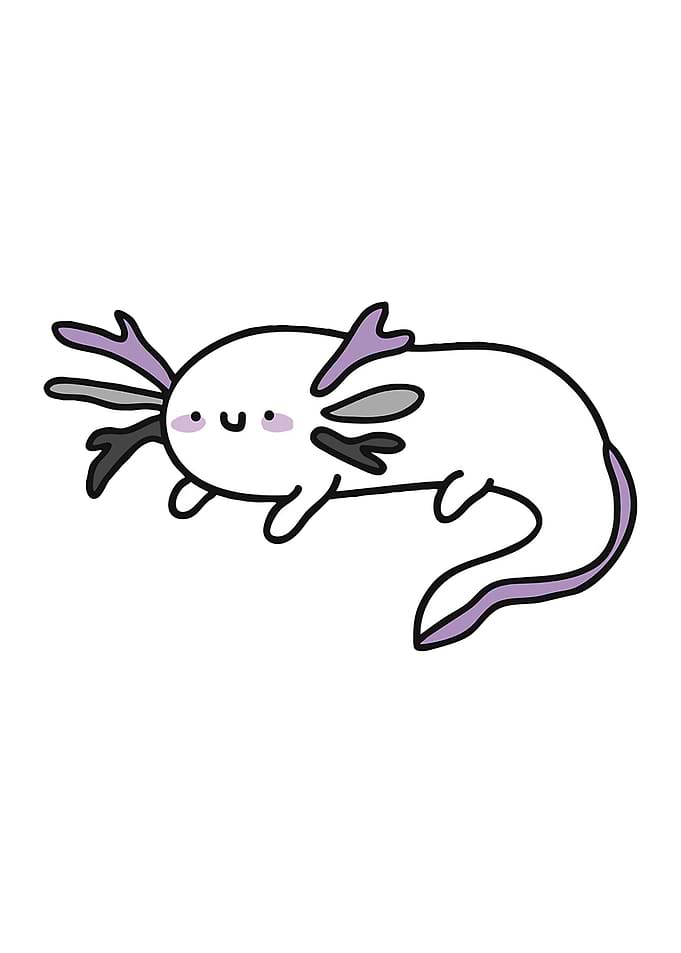 salamander