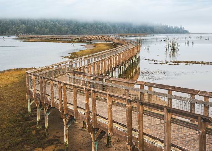Beyond Nisqually