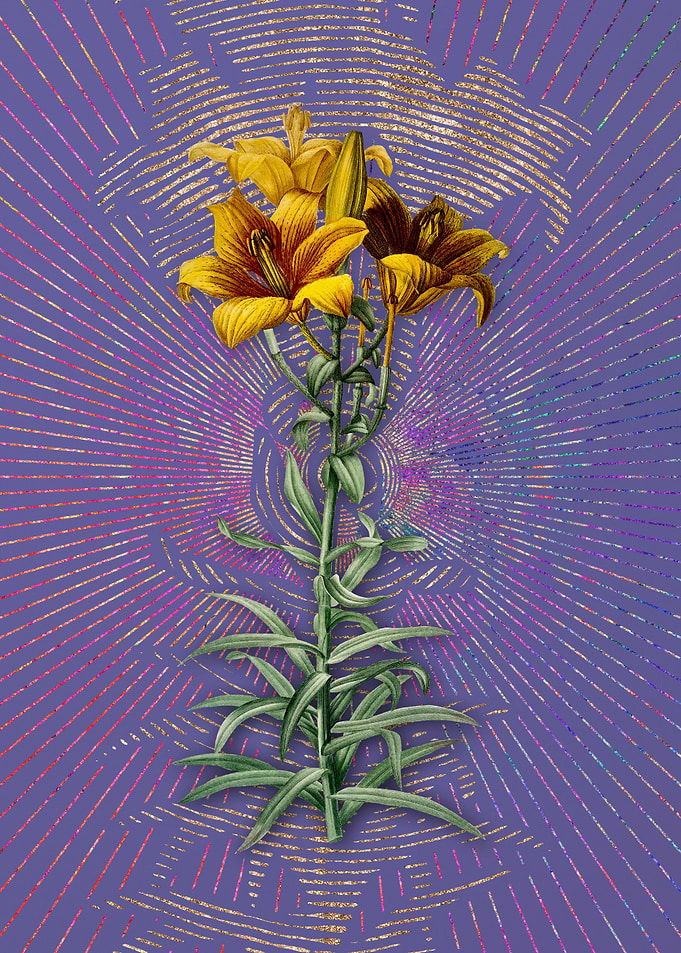 Violet Vintage Fire Lily