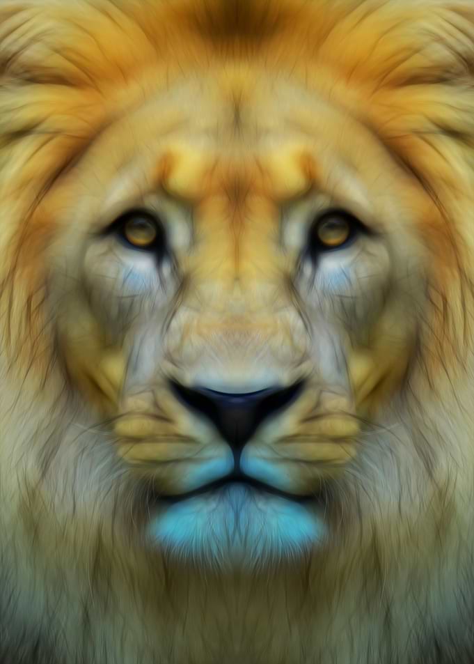 The Lion