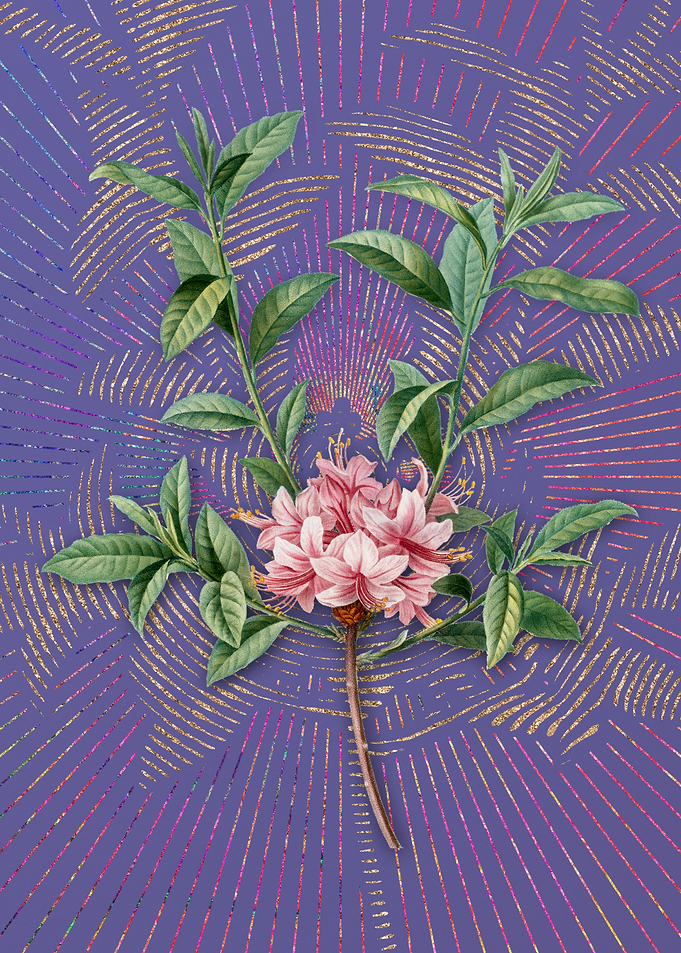 Violet Vintage Azalea