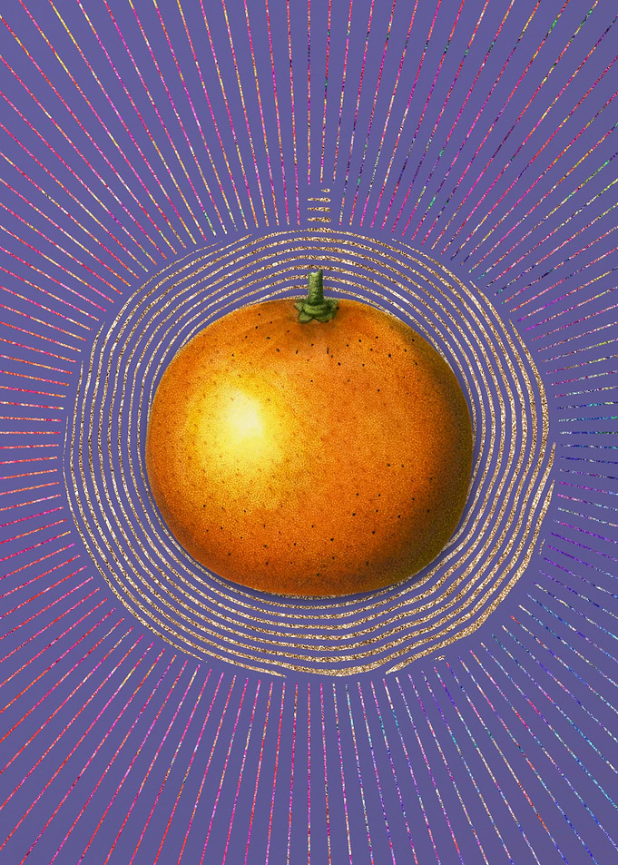 Violet Vintage Orange