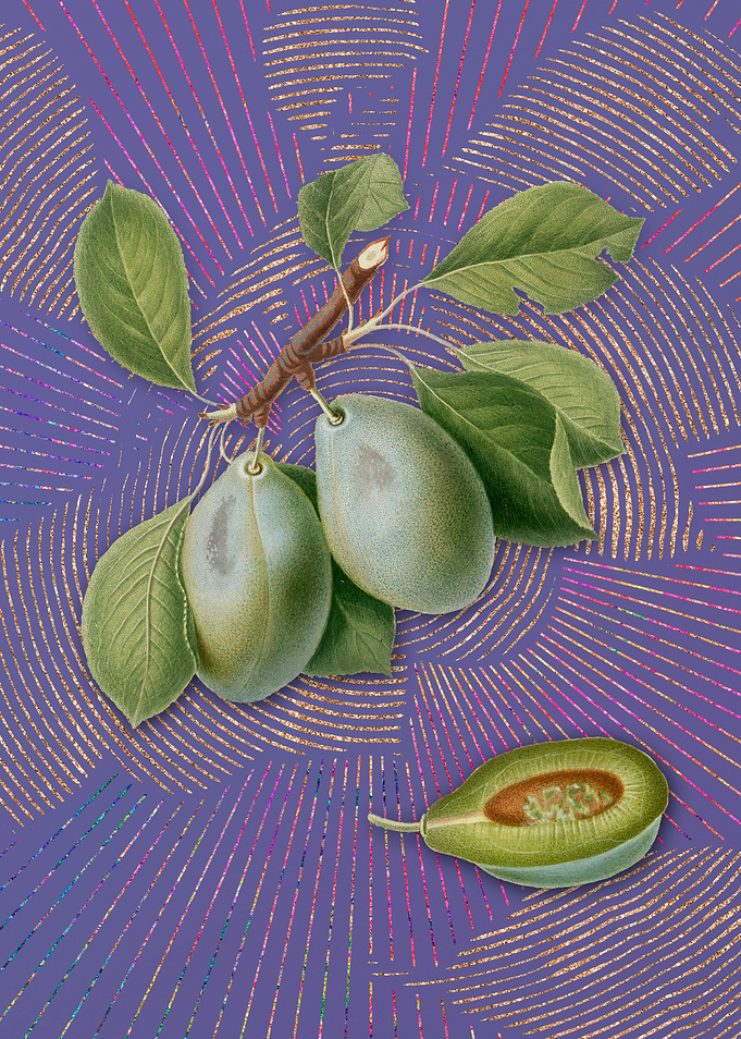 Violet Vintage Plum 3