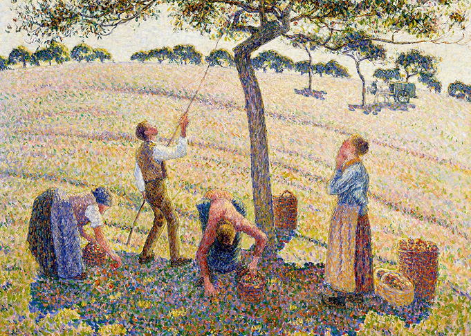 Apple Harvest