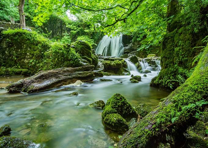 Waterfall in Forest Nature