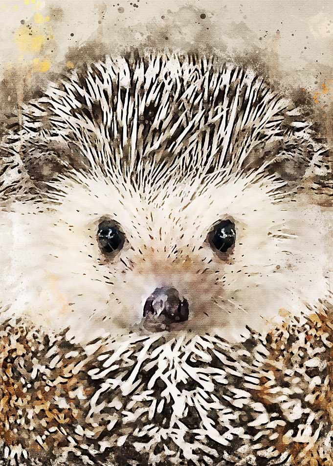 Porcupine Watercolor art
