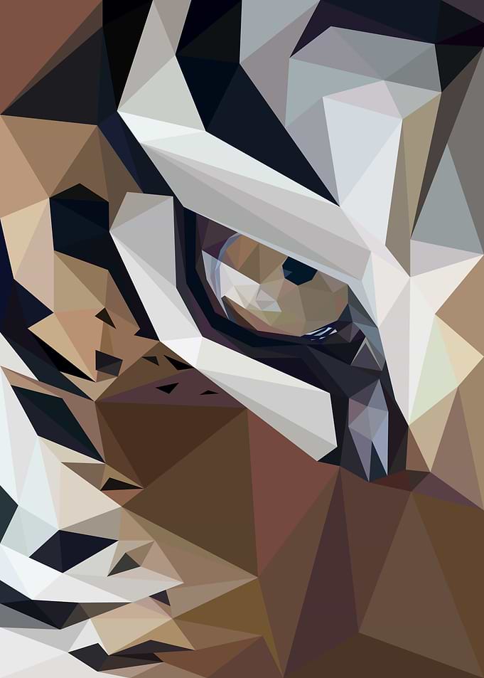 Half Face Tiger Lowpoly