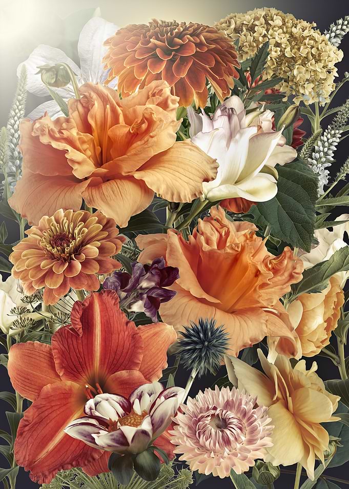 Daylily Morning