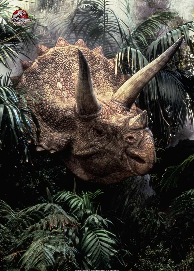 Dino Beauty Shots 8