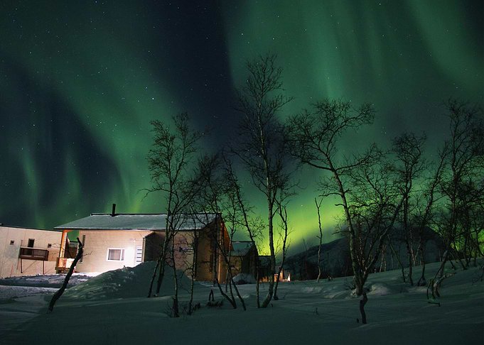 Northern Lights Nature