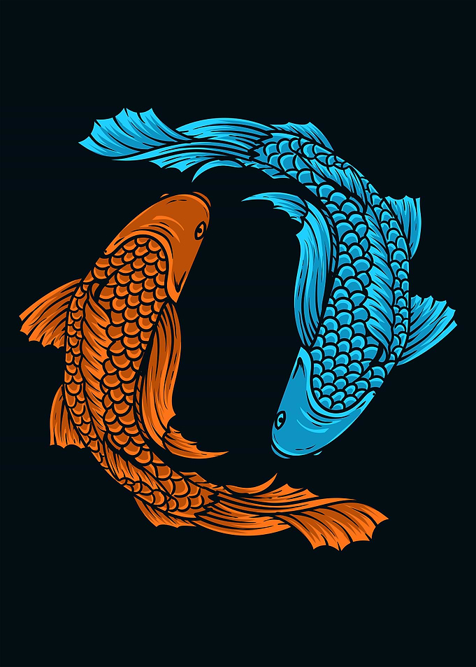 japanese koi fish