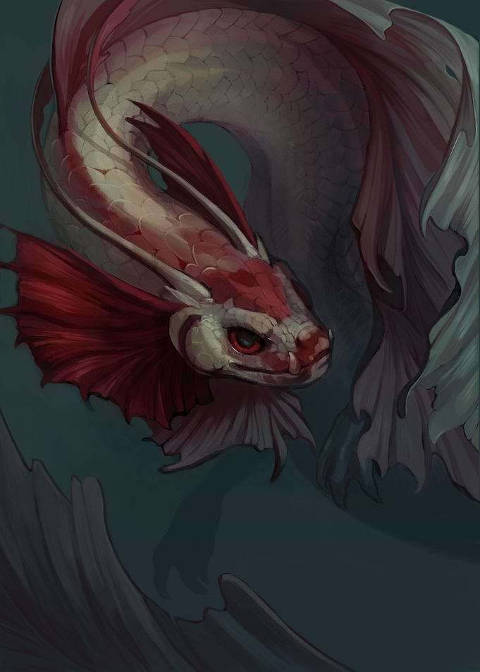 Betta Dragon