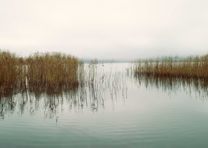 Tranquil autumn lake scape