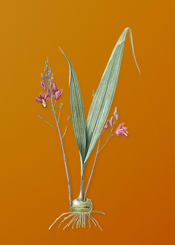 Vintage Pine Pink Flower