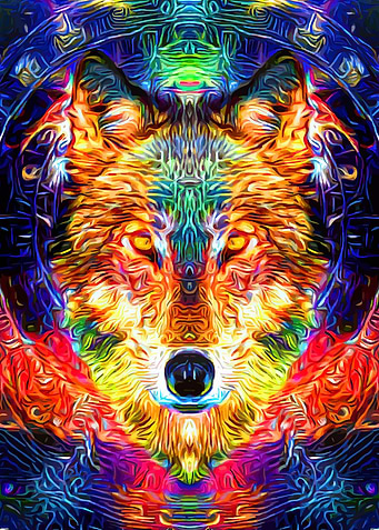 Space Wolf Colorful Art