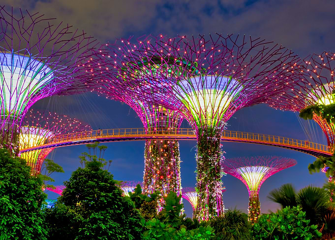 Supertree Grove