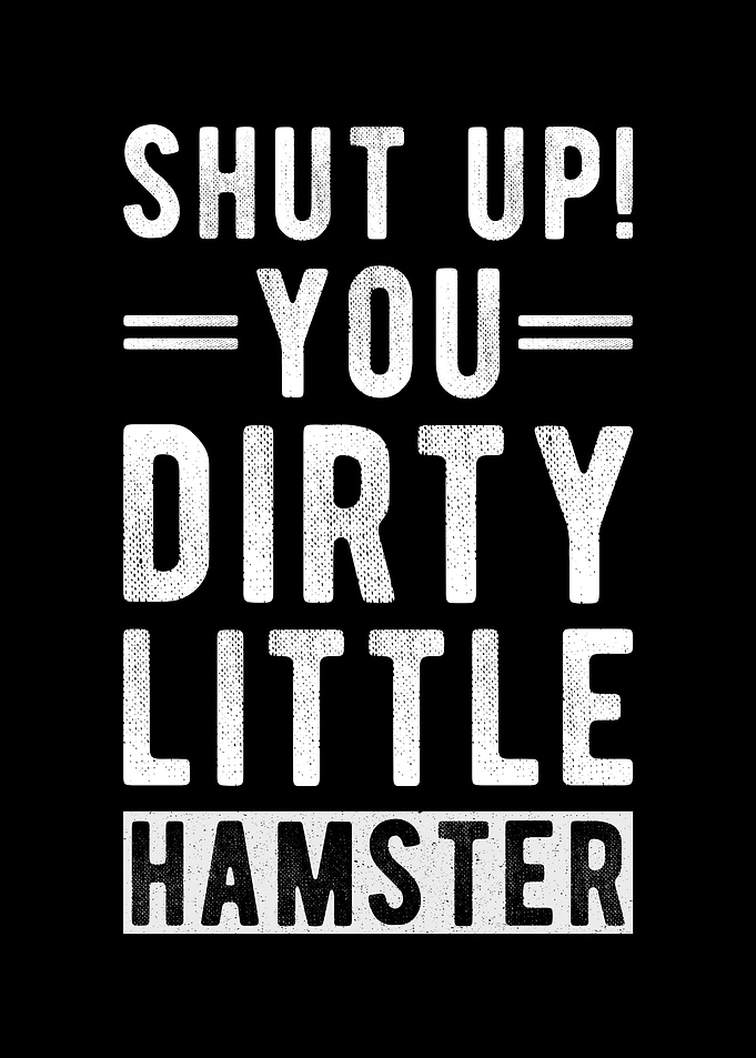 Hamster Gift