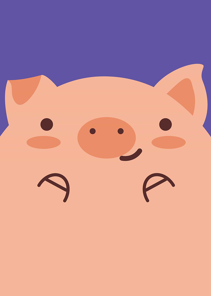 Cute Animal Kids Pig