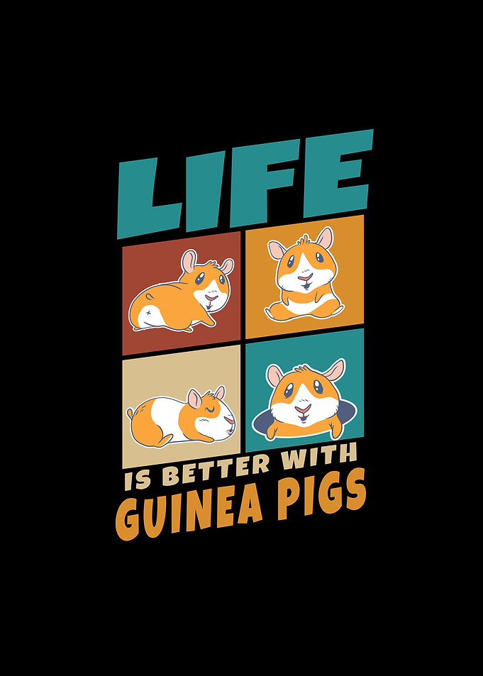 Cute Guinea Pig Pets Gifts