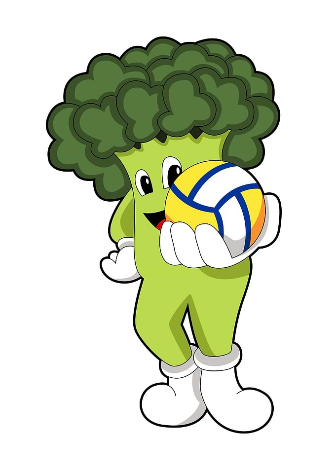 Broccoli Volleyball Sports