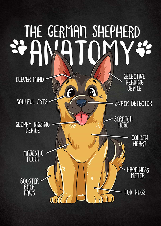 German Shepherd Dog
