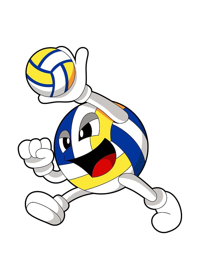 Volleyball Sports
