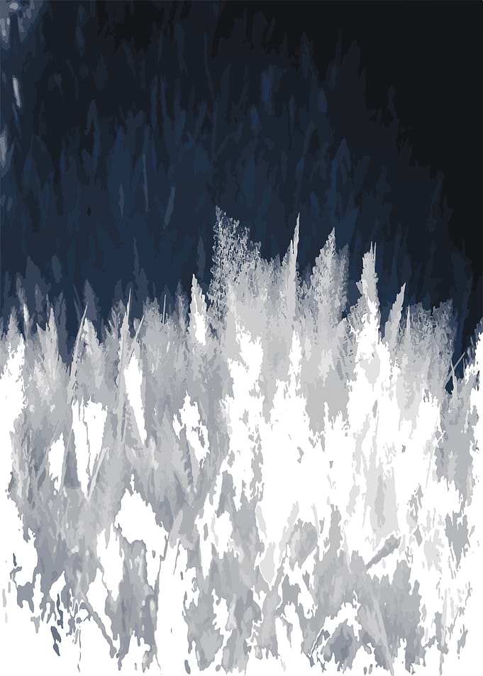 The SnowFlake