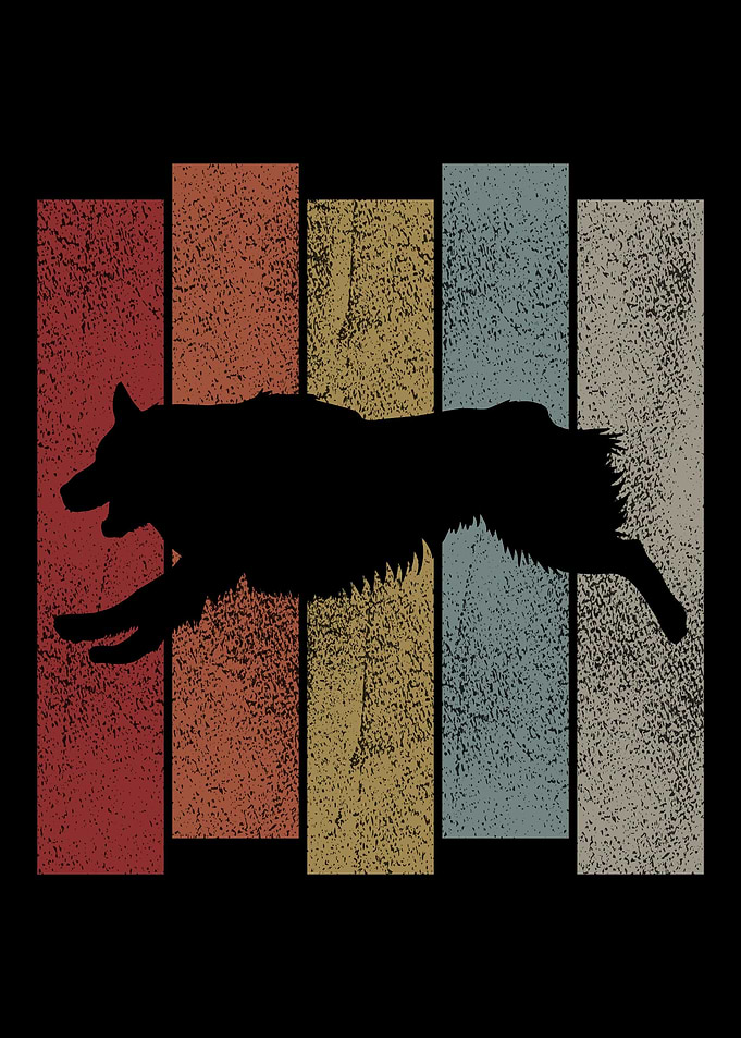 Retro Australian Shepherd