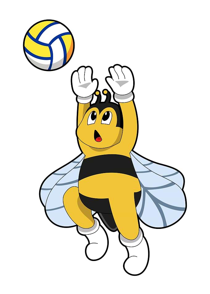 Bee Volleyball Sports