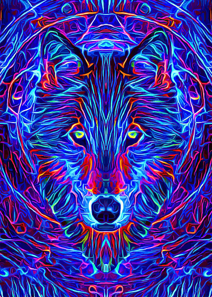 Wolf Space Spirit Galaxy