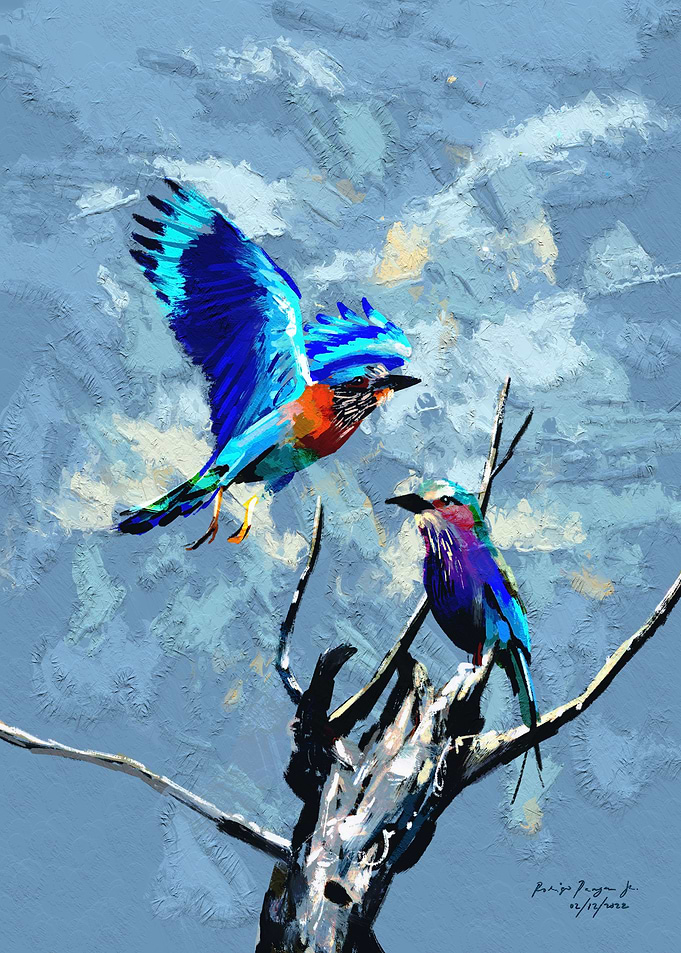 Birdy