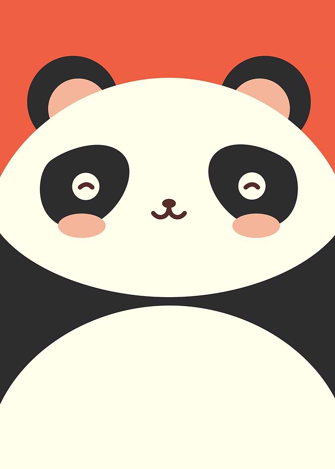 Cute Animal Kids Panda