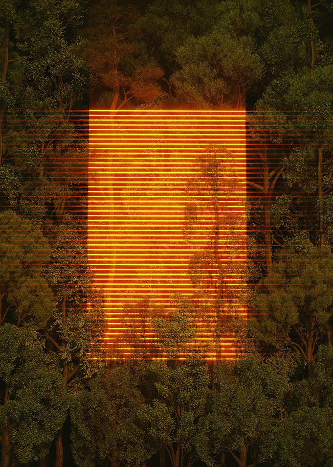Heart of the Jungle