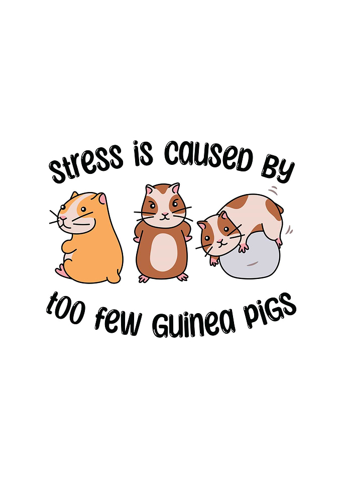 Guinea Pig Rodents Gifts