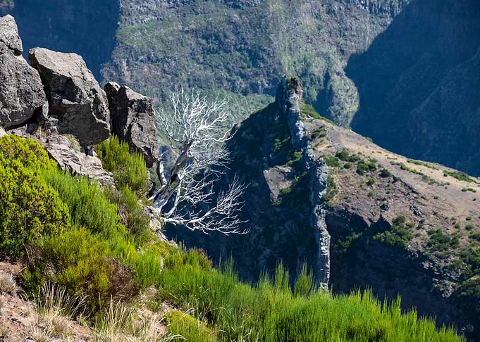 Madeira landscape,Portugal