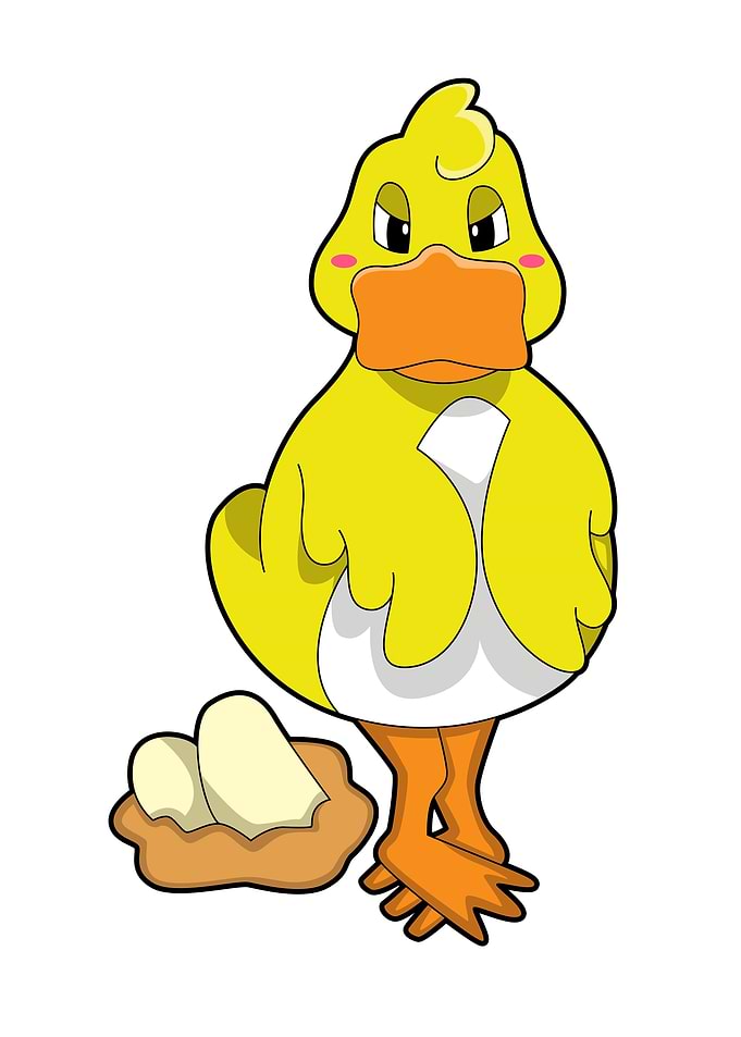 Duck Egg Basket