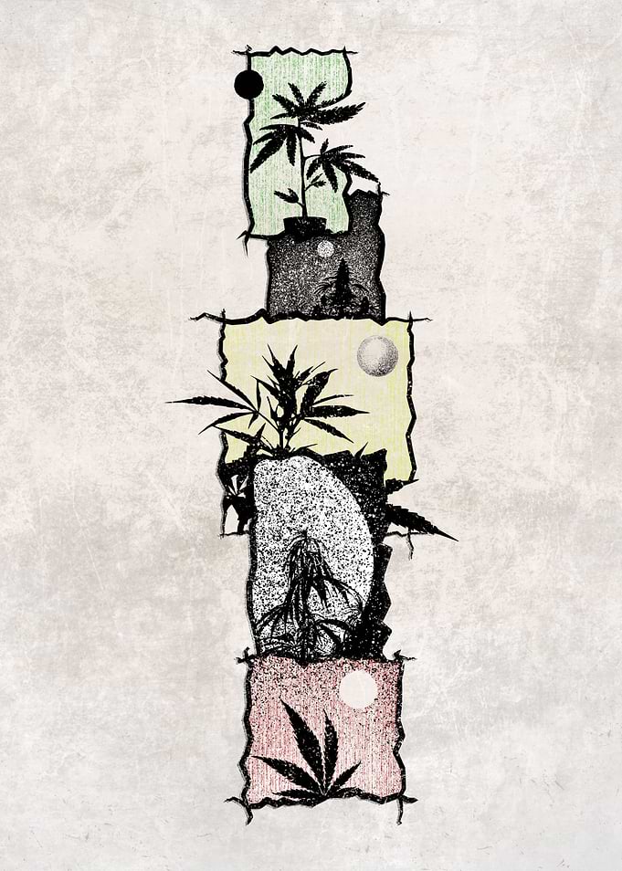 Weed Tower