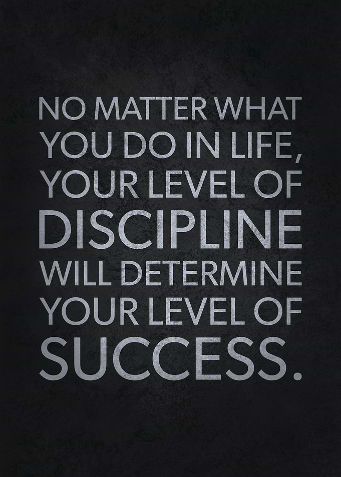 Discipline and Success