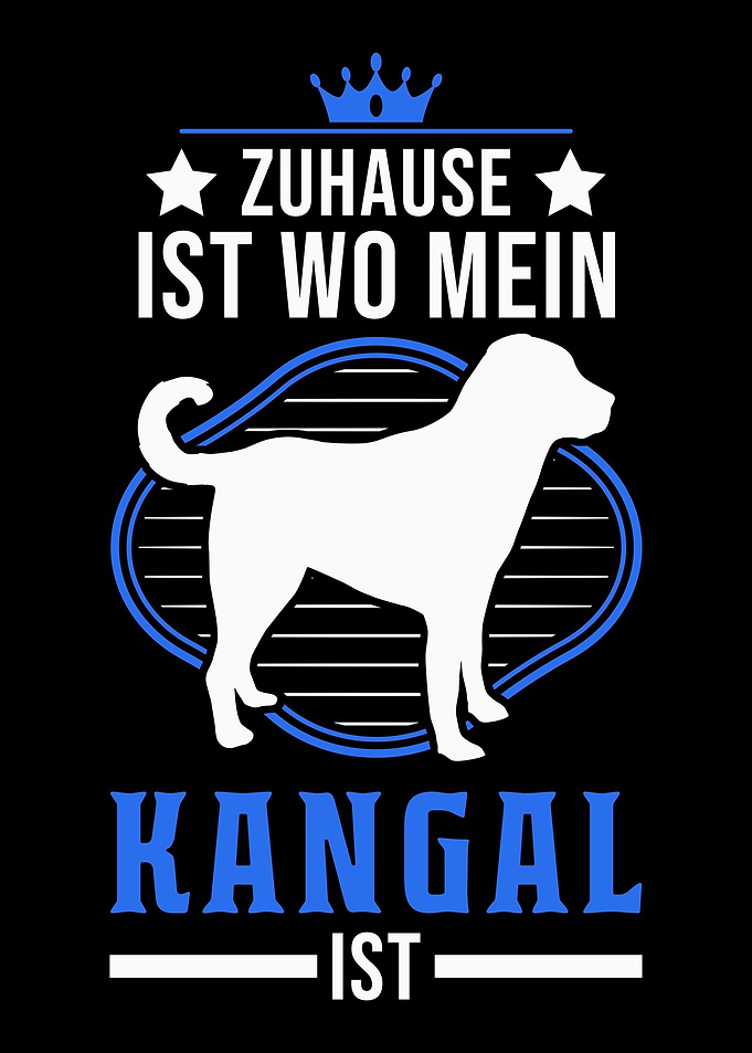 Zuhause ist wo mein Kangal