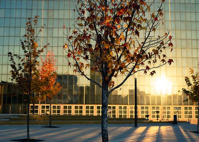 Autumn and the city