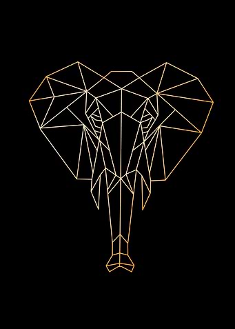 Elephant polygon