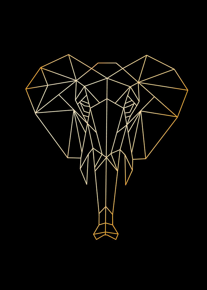 Elephant polygon