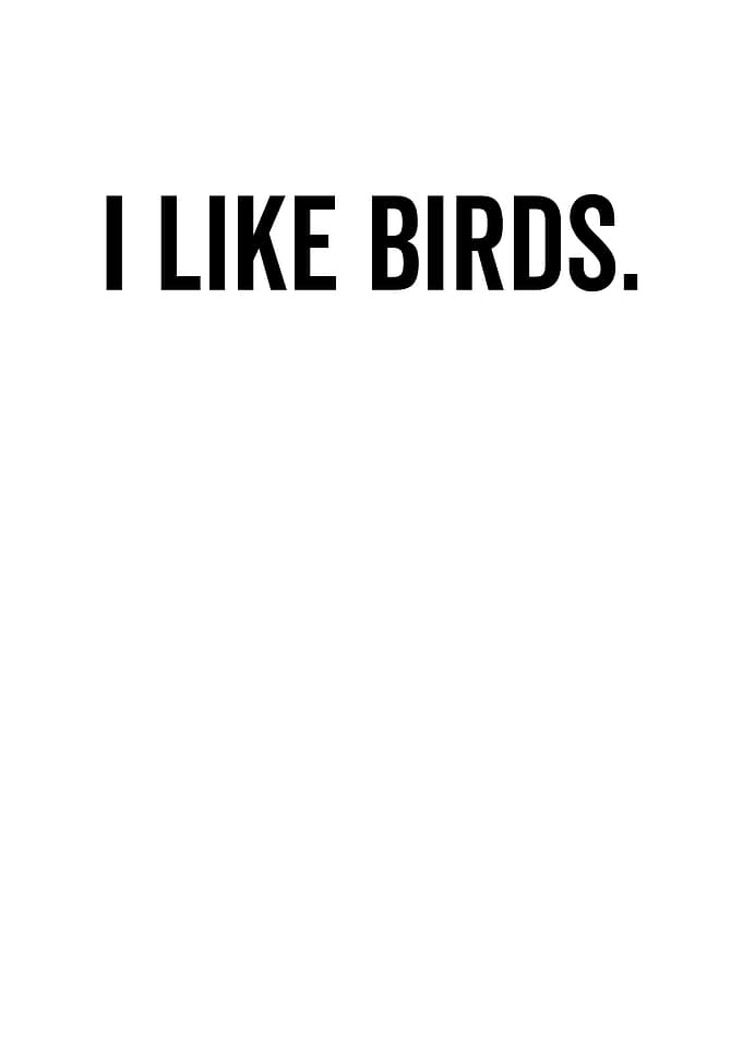 I Like Birds